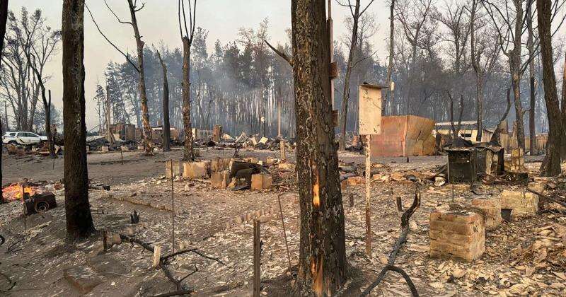 У Харківській області в результаті лісової пожежі знищено ціле селище.