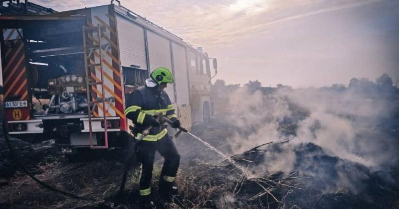 У Київській області під час спалювання сухої рослинності трагічно загинула жінка: зображення.