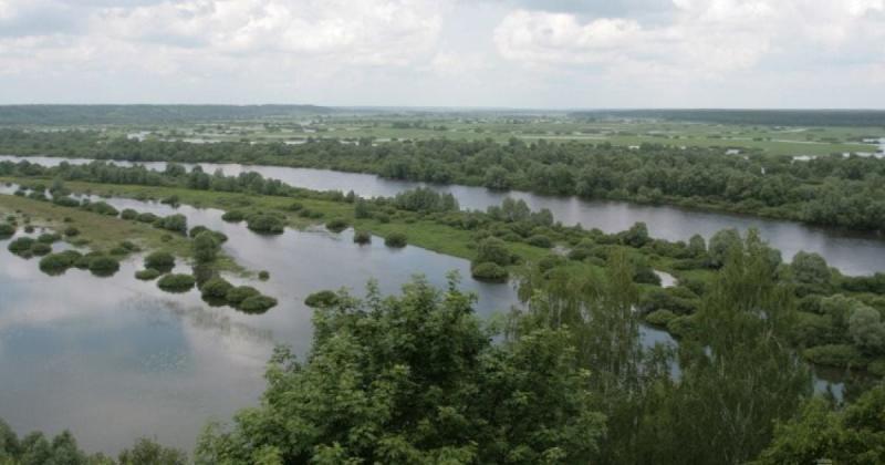 Коли забруднена вода може потрапити на територію Київщини: відповідь від Міністерства екології.