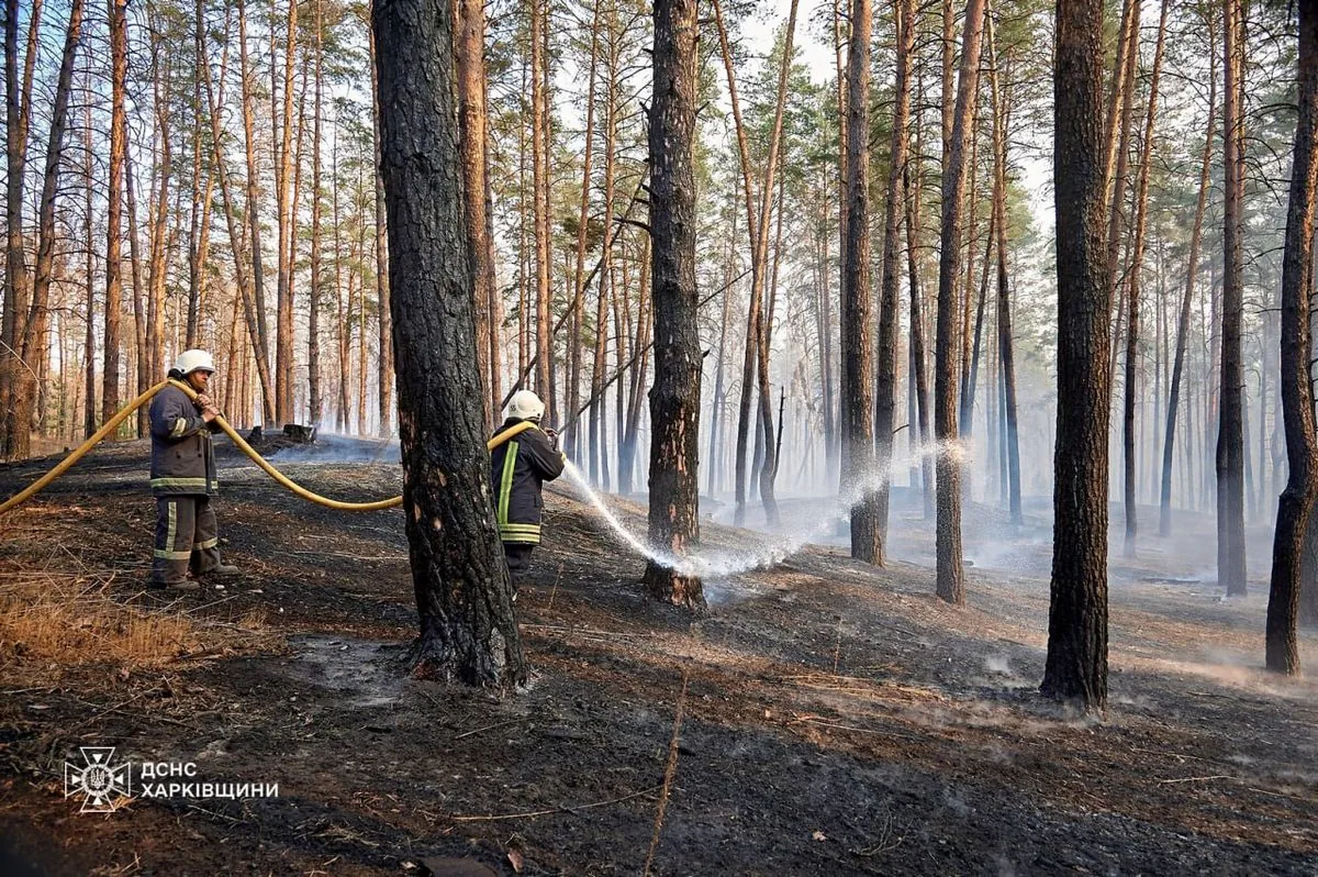 У Балаклії вогонь охопив більше 1160 гектарів лісових територій, тоді як на Полтавщині зафіксовані поодинокі вогнища загоряння | УНН