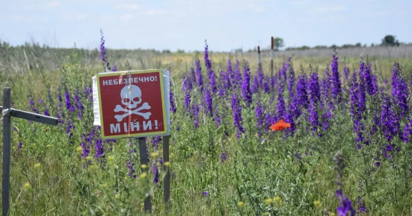 У Херсонській області місцевий мешканець став жертвою вибуху протипіхотної міни.