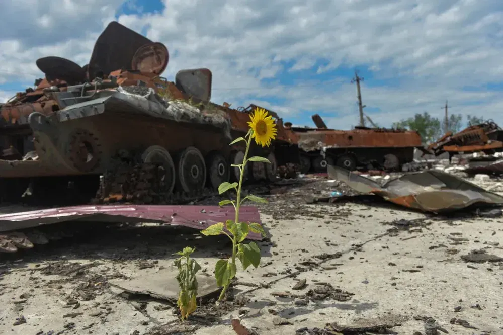 Україна знадобиться багато років для відновлення своїх екосистем після війни - КНДІСЕ | УНН